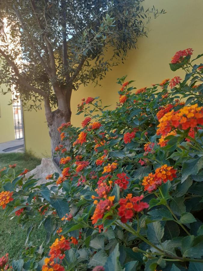 Appartamento A Pula In Zona Residenziale Kültér fotó