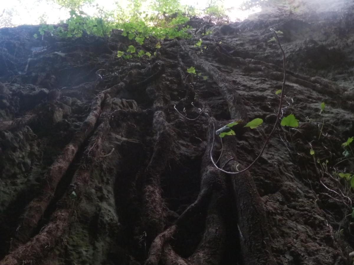 Appartamento A Pula In Zona Residenziale Kültér fotó